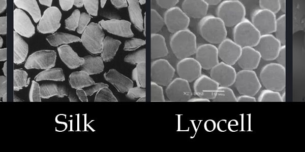 cross-section of silk vs lyocell - Lessinly silk bedding